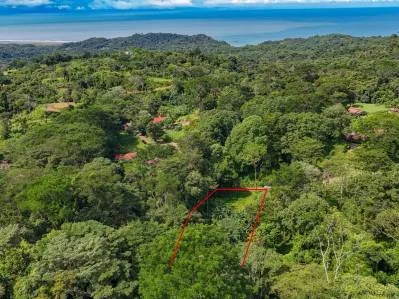 Gran terreno en la selva en venta en Ojochal, Costa Rica, photo 4