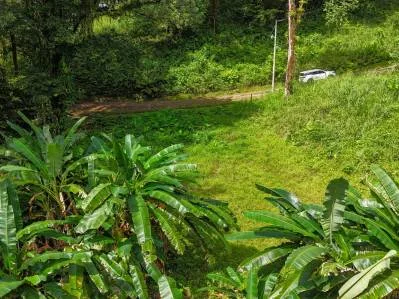 Gran terreno en la selva en venta en Ojochal, Costa Rica, photo 6