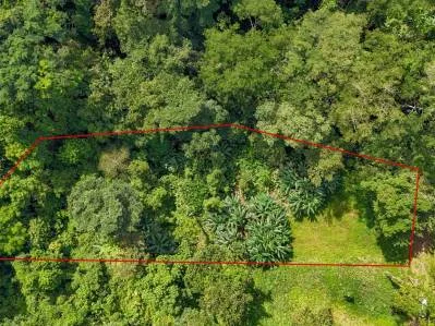 Gran terreno en la selva en venta en Ojochal, Costa Rica, photo 8