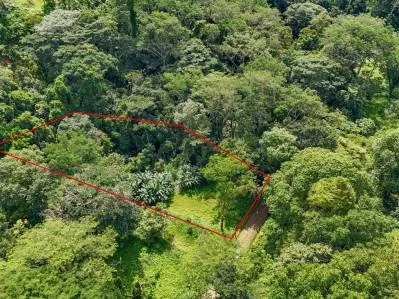 Gran terreno en la selva en venta en Ojochal, Costa Rica, photo 9