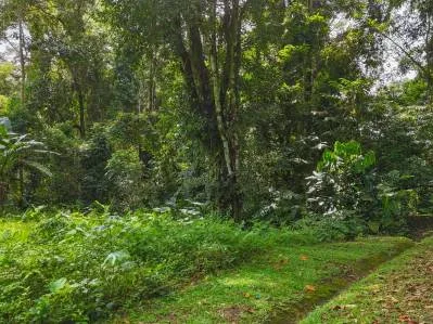 Gran terreno en la selva en venta en Ojochal, Costa Rica, photo 10