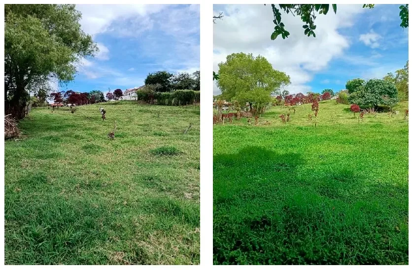 Presentamos una extraordinaria oportunidad de inversión en una de las zonas más exclusivas, tranquilas y seguras de Vásquez de Coronado, específicamente en San Rafael (Calle Los ...