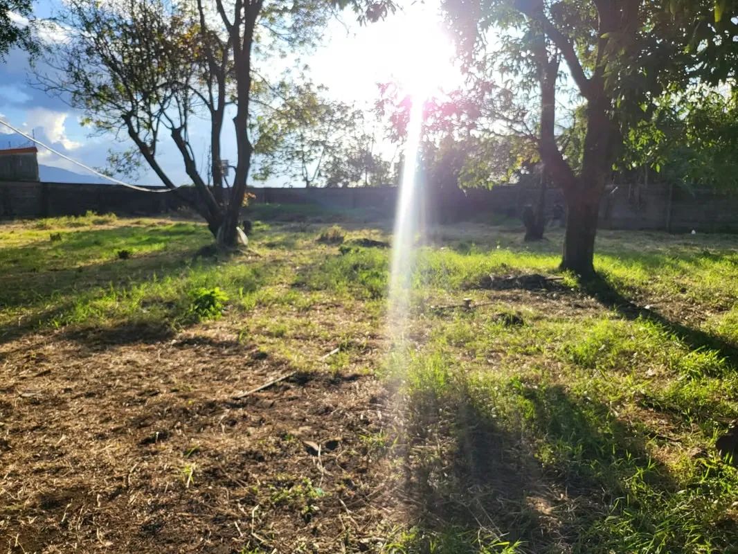 Venta de amplia propiedad de uso mixto ubicada en Llorente de Flores, Heredia. Se ubica a 10 minutos del aeropuerto Juan Santamaria. El uso de suelo es de tipo mixto, residencial y ..., photo 12
