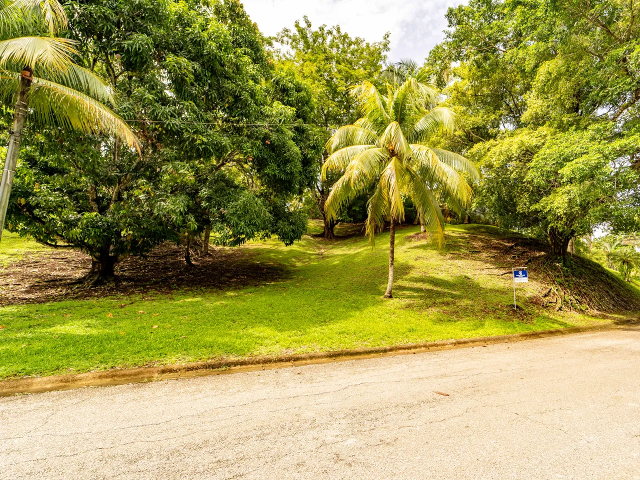 Fire Sale! Loma Verde 3 - Gated Community Lot Located 3 Mins to the Beach, photo 6