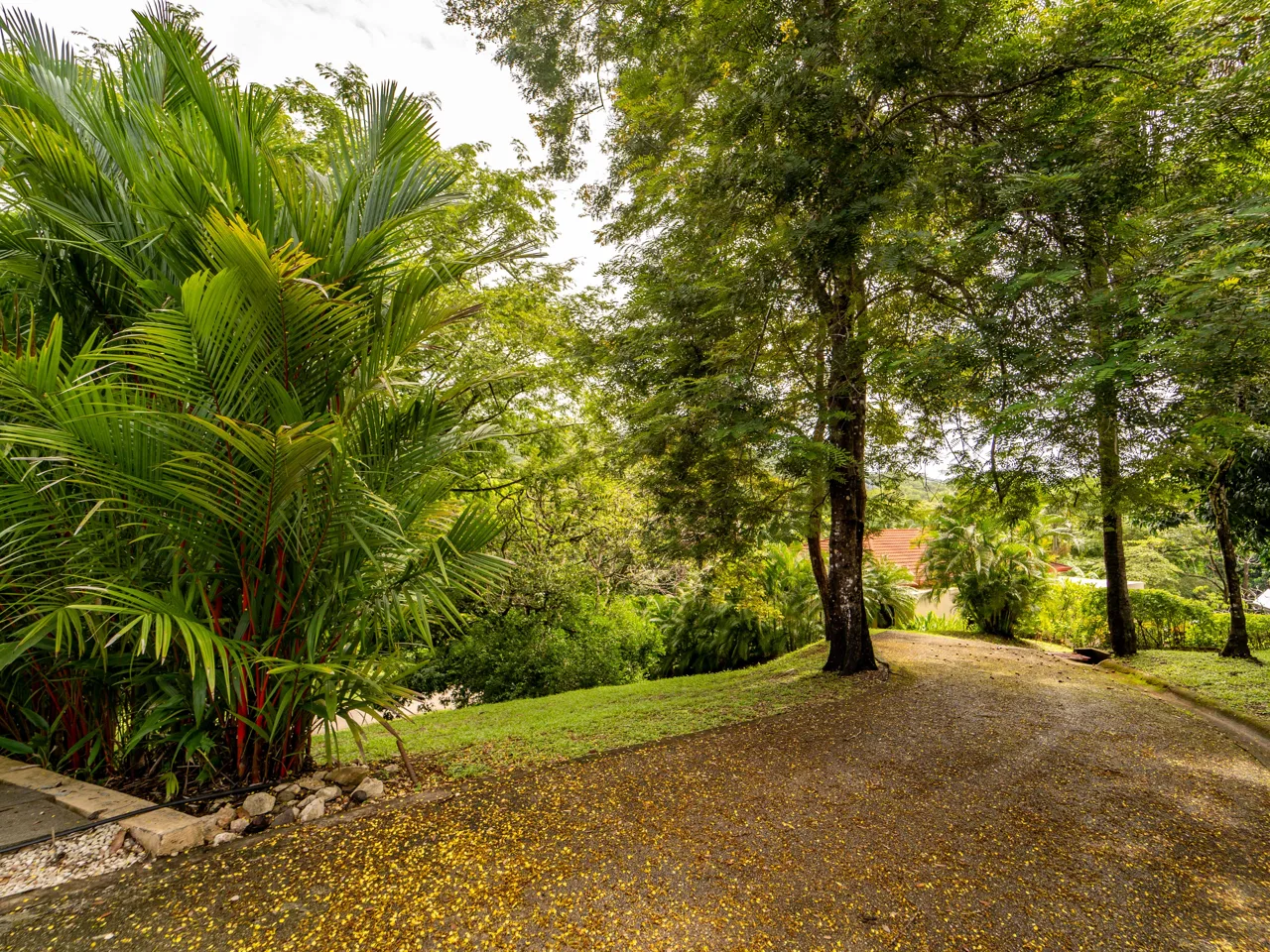 Fire Sale! Loma Verde 3 - Gated Community Lot Located 3 Mins to the Beach, photo 8