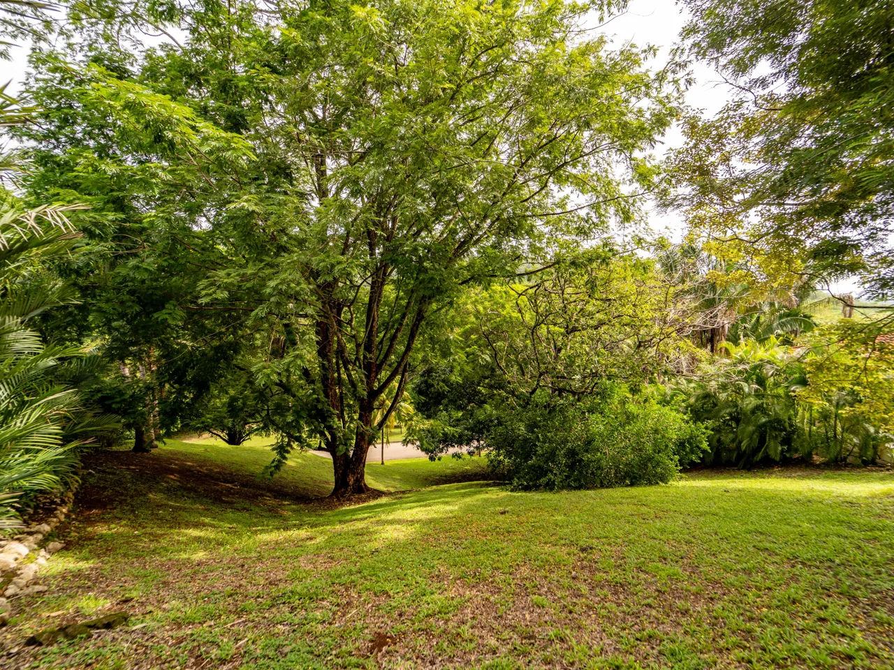 Fire Sale! Loma Verde 3 - Gated Community Lot Located 3 Mins to the Beach, photo 9