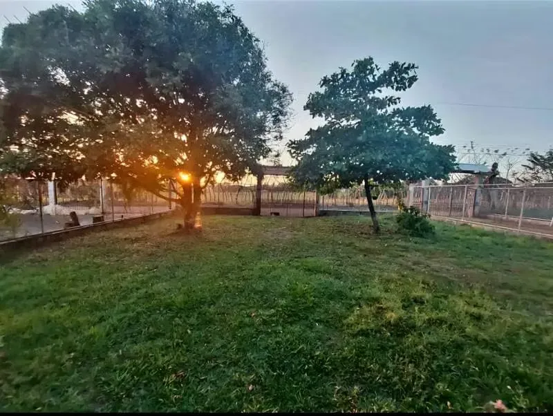 * 3 dormitorios ( 3,5 m2 x 3,10 m2 / 3,10m2 x 3,20 m2 / 3,15 m2 x ..., photo 3