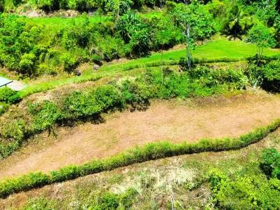 Ocean View Lot for Sale in Ojochal – Ready to Build in South Pacific Costa Rica, photo 3