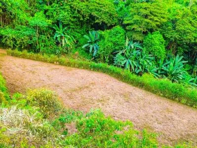Ocean View Lot for Sale in Ojochal – Ready to Build in South Pacific Costa Rica, photo 8