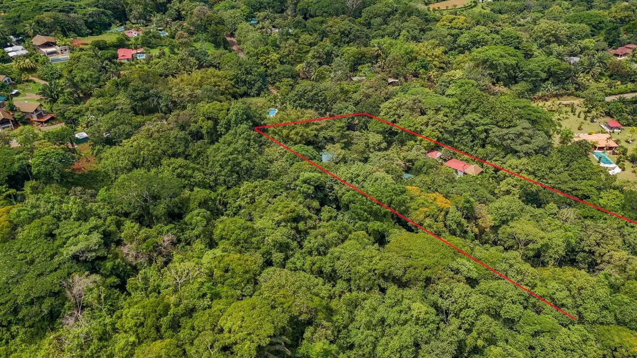 PROPERTY WITH GUEST HOUSE, IN OJOCHAL – 1.96 ACRES, photo 25
