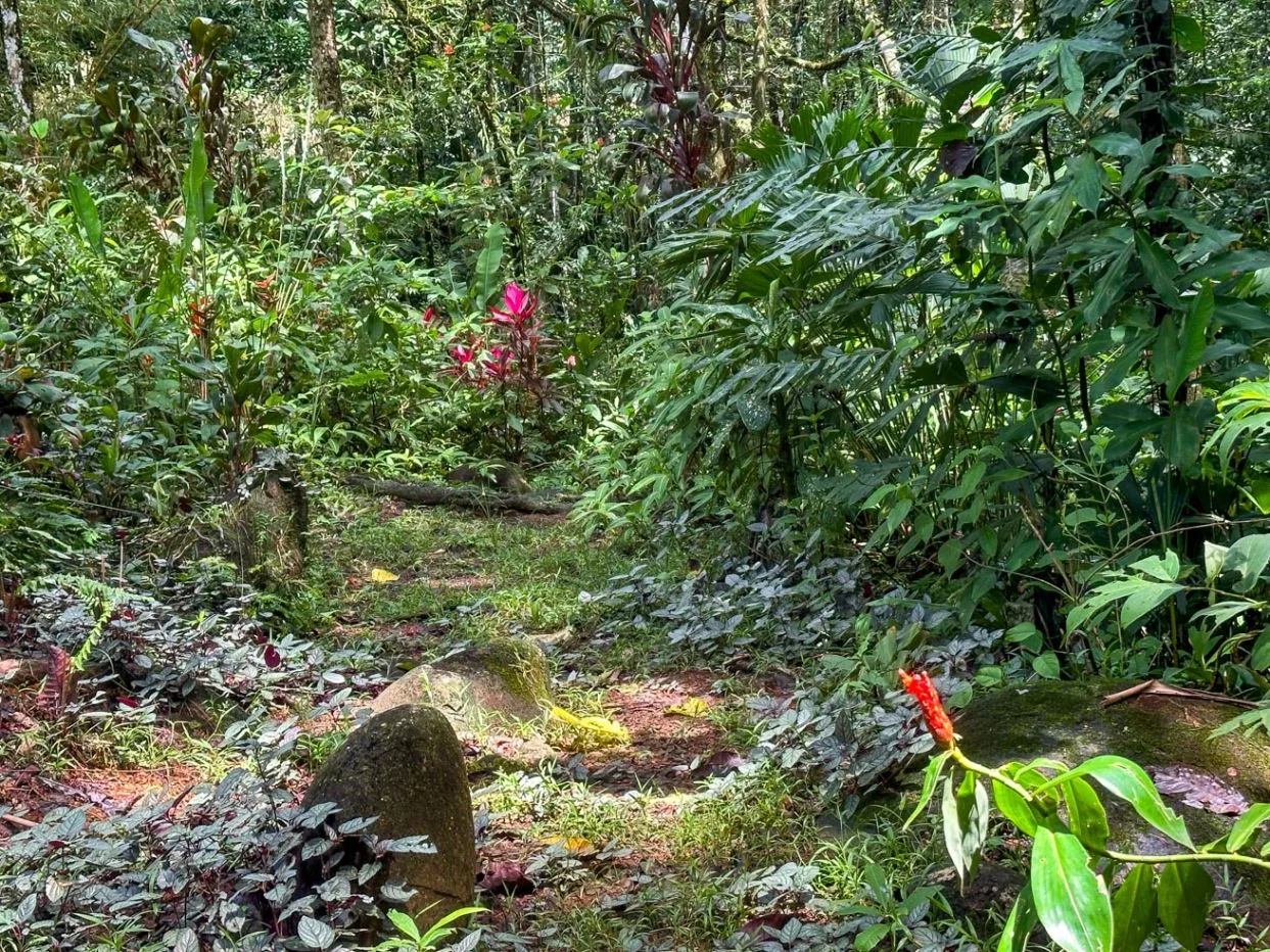 PROPERTY WITH GUEST HOUSE, IN OJOCHAL – 1.96 ACRES, photo 27