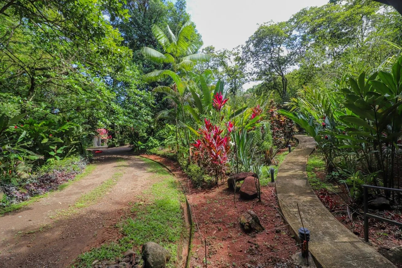 PROPERTY WITH GUEST HOUSE, IN OJOCHAL – 1.96 ACRES, photo 30