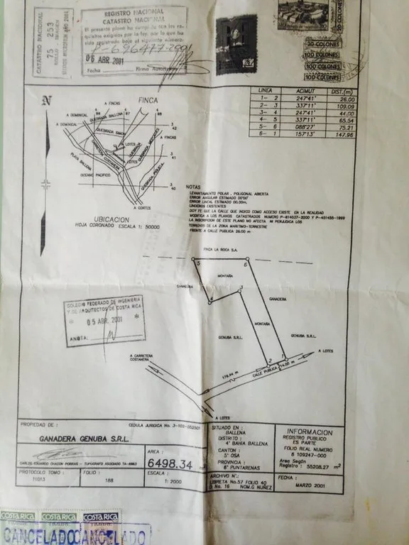 1.6 Acres Land Parcel in Ballena, Jungle Views.: Mountain Home Construction Site For Sale in Bahía Ballena, photo 12