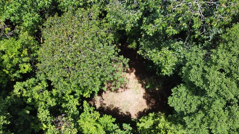 1.6 Acres Land Parcel in Ballena, Jungle Views.: Mountain Home Construction Site For Sale in Bahía Ballena, photo 13