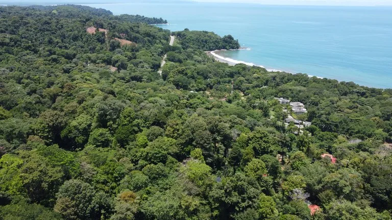 1.6 Acres Land Parcel in Ballena, Jungle Views.: Mountain Home Construction Site For Sale in Bahía Ballena, photo 14