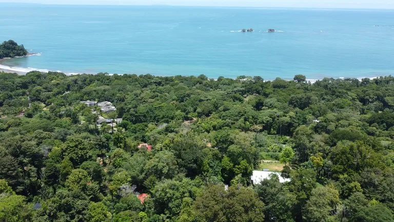 1.6 Acres Land Parcel in Ballena, Jungle Views.: Mountain Home Construction Site For Sale in Bahía Ballena, photo 15