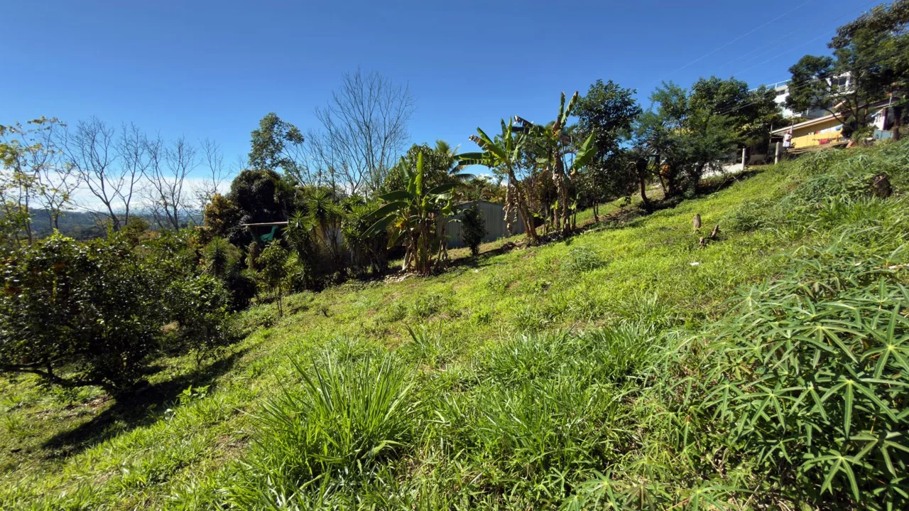 Lot for sale with easy access in Miravalles Perez Zeledon, photo 12