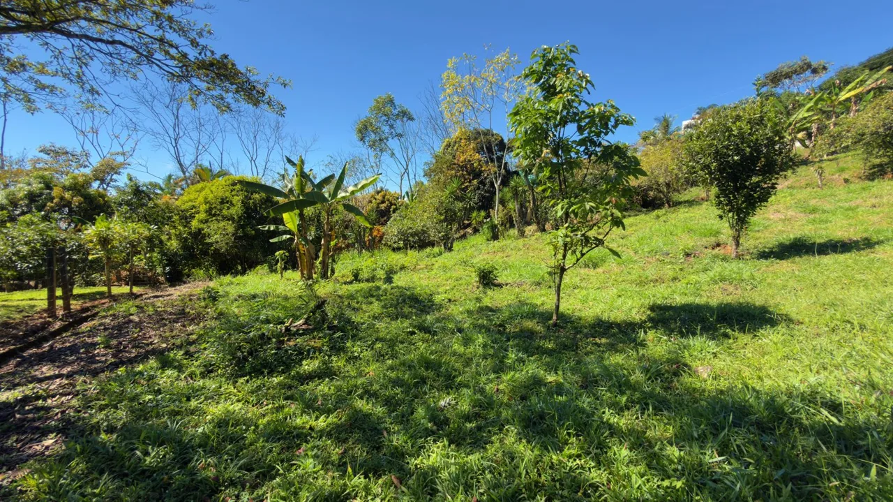 Lot for sale with easy access in Miravalles Perez Zeledon, photo 13