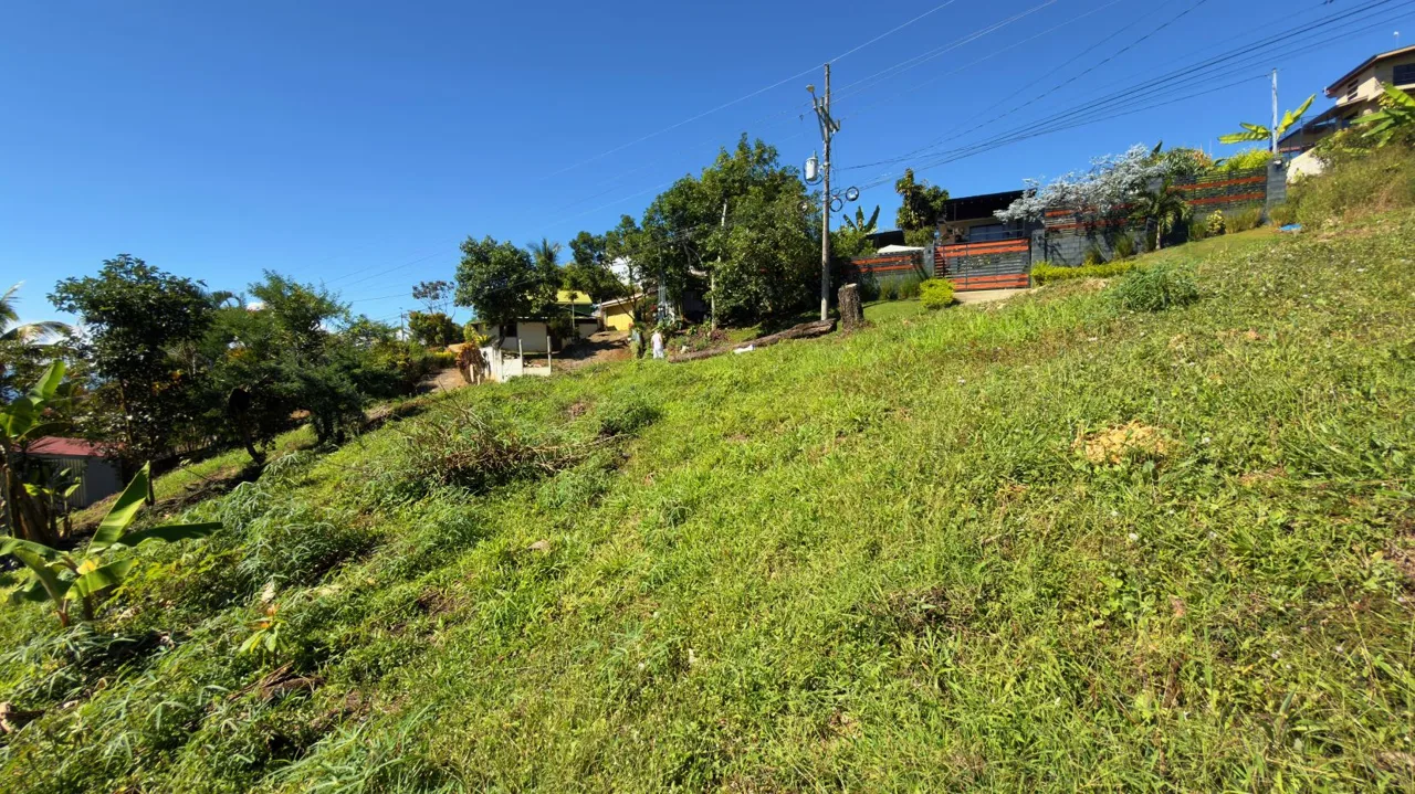 Lot for sale with easy access in Miravalles Perez Zeledon, photo 14