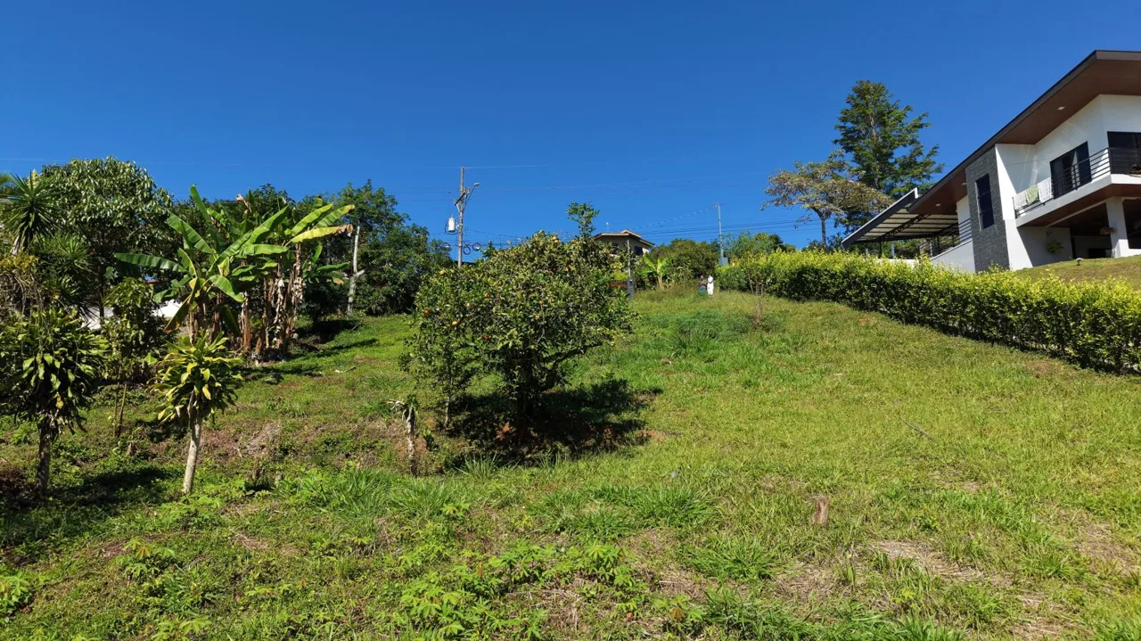Lot for sale with easy access in Miravalles Perez Zeledon, photo 8