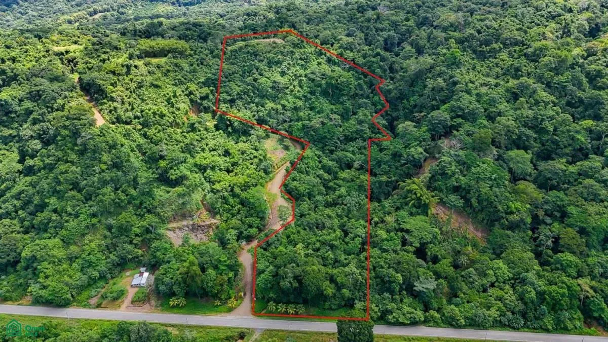 Espectacular lote de 9 acres con vista al mar en Costa Rica, photo 6