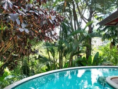 JUNGLE VIEW 2 BEDROOM HOME IN DOMINICAL, photo 26