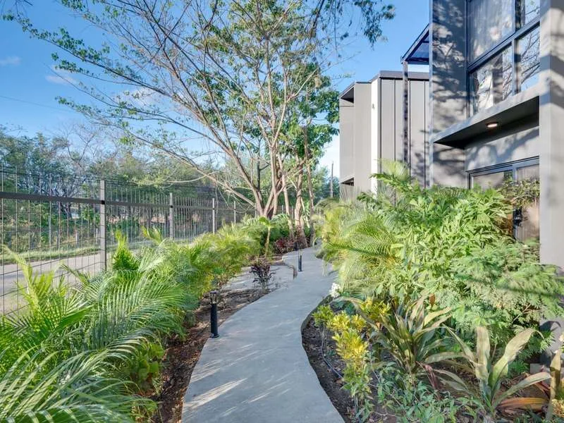 10 Bed Single Family Homes For Sale in Playa Flamingo, photo 5