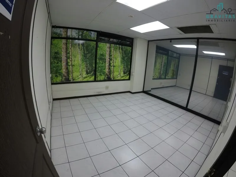 Offices in excellent location near shopping, executive and consumption centers in San Pedro Montes de Oca, very central, photo 3