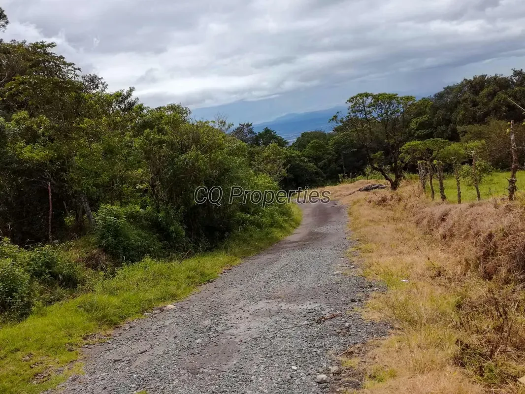 Farm for sale, El Roble/Santa Barbara, 18.7 hectares, photo 2