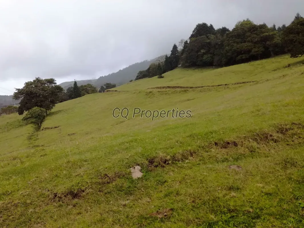Farm for sale, El Roble/Santa Barbara, 18.7 hectares, photo 3