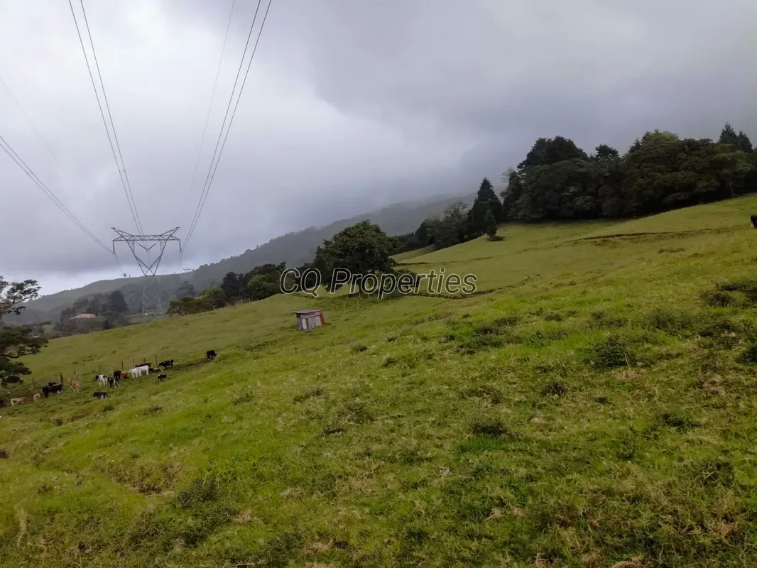 Farm for sale, El Roble/Santa Barbara, 18.7 hectares, photo 4