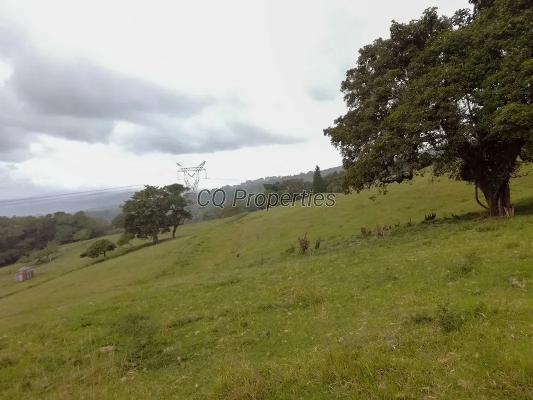 Farm for sale, El Roble/Santa Barbara, 18.7 hectares, photo 5