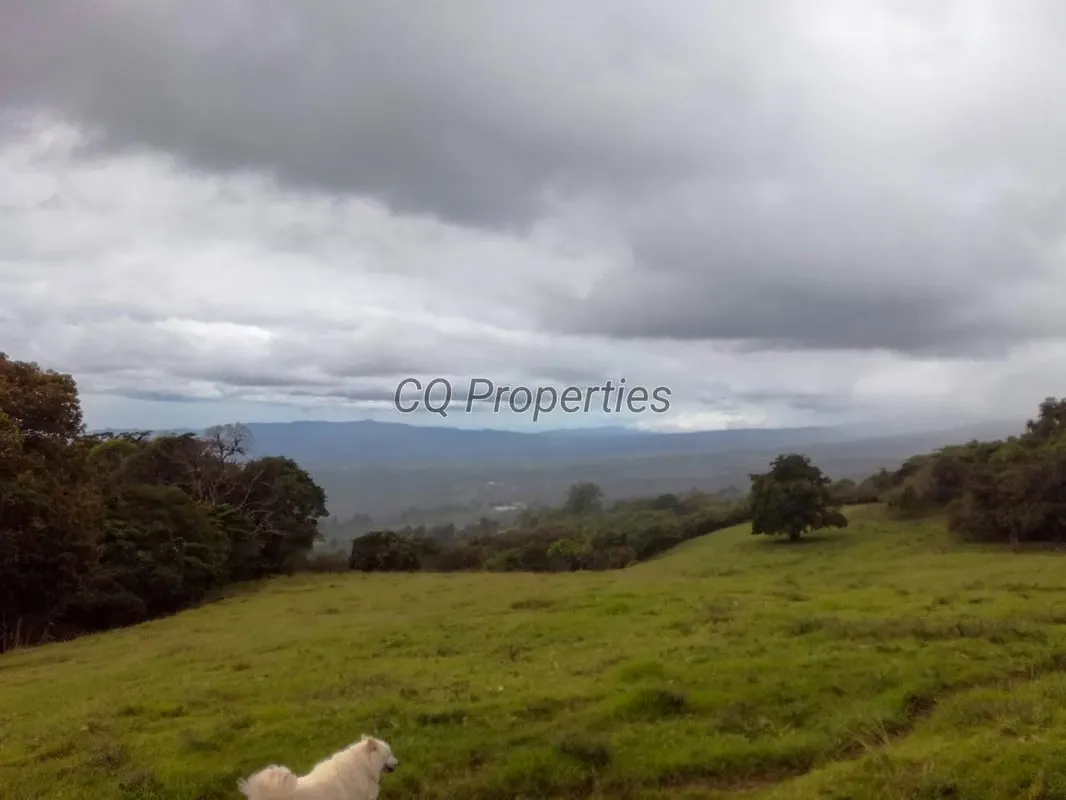 Farm for sale, El Roble/Santa Barbara, 18.7 hectares, photo 6