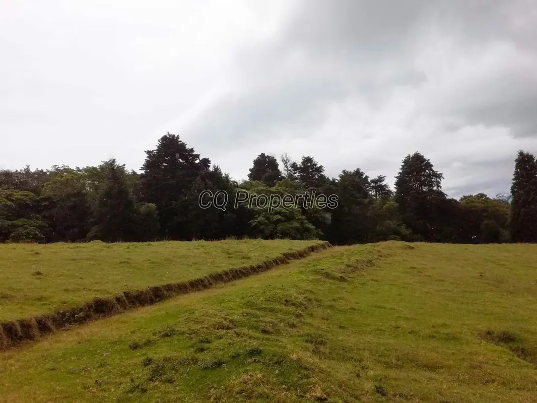 Farm for sale, El Roble/Santa Barbara, 18.7 hectares, photo 7