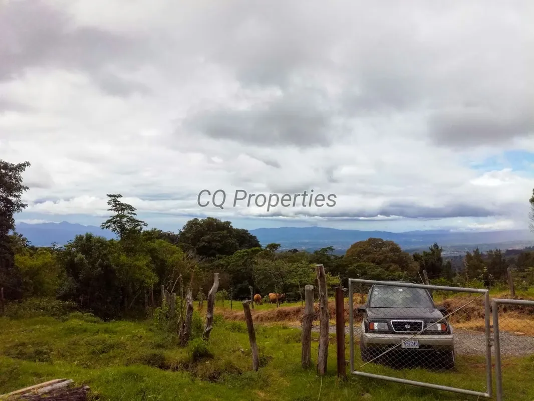 Farm for sale, El Roble/Santa Barbara, 18.7 hectares, photo 8