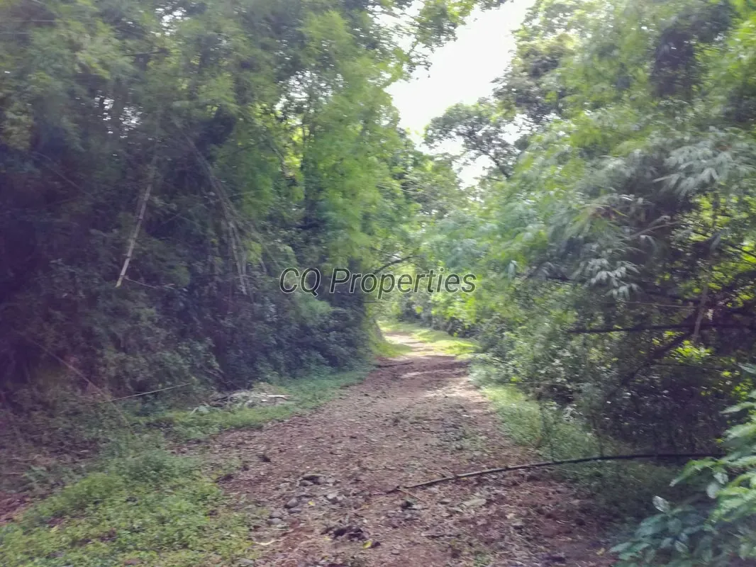 Farm for sale, El Roble/Santa Barbara, 18.7 hectares, photo 10