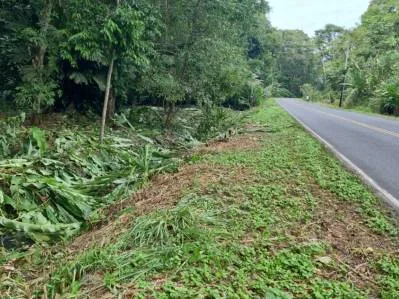 Terreno en Venta Sobre Calle Principal en Manzanillo, oportunidad comercial y residencial.