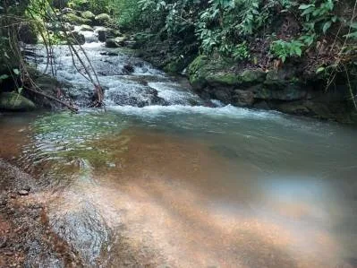Finca de montaña con abundante agua | 3 hectáreas con manantial y arroyo permanente en Las Tumbas