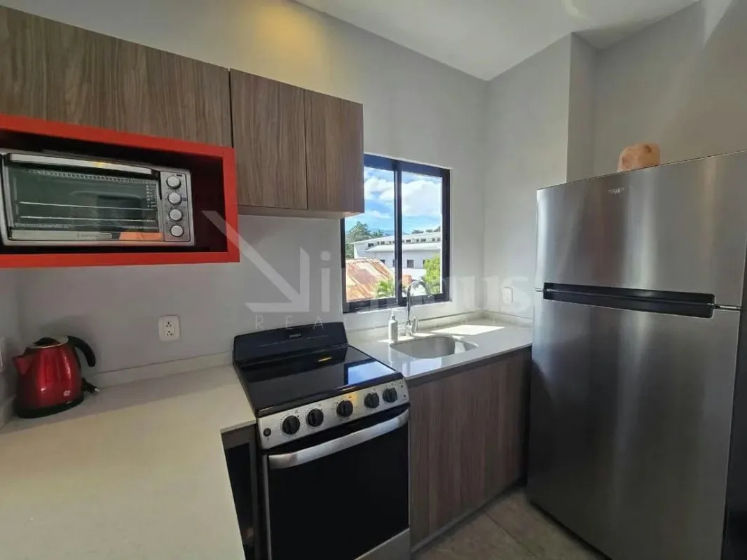 id 41579 Condominio en venta amoblado en San Pedro, photo 4