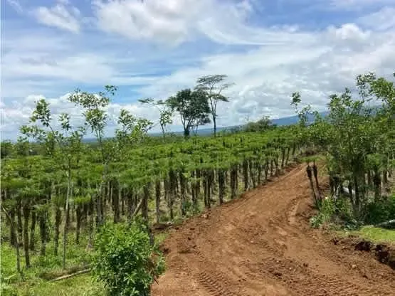 DESCRIPCION GENERAL: quinta con alto potencial para uso de suelo al 100% agrícolas, pecuaria, forestales o ...