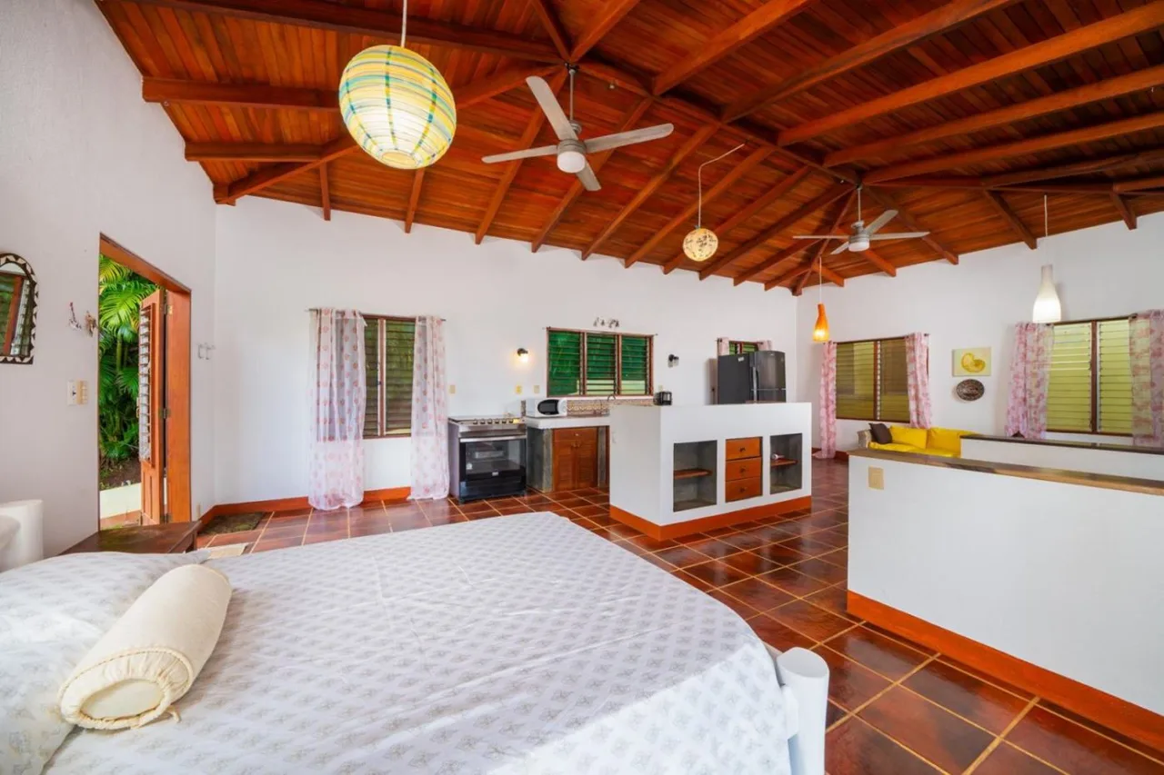 Ocean-View Home with Pool on 1.1 Hectares in Playa Coyote – Casa Papaya, photo 13