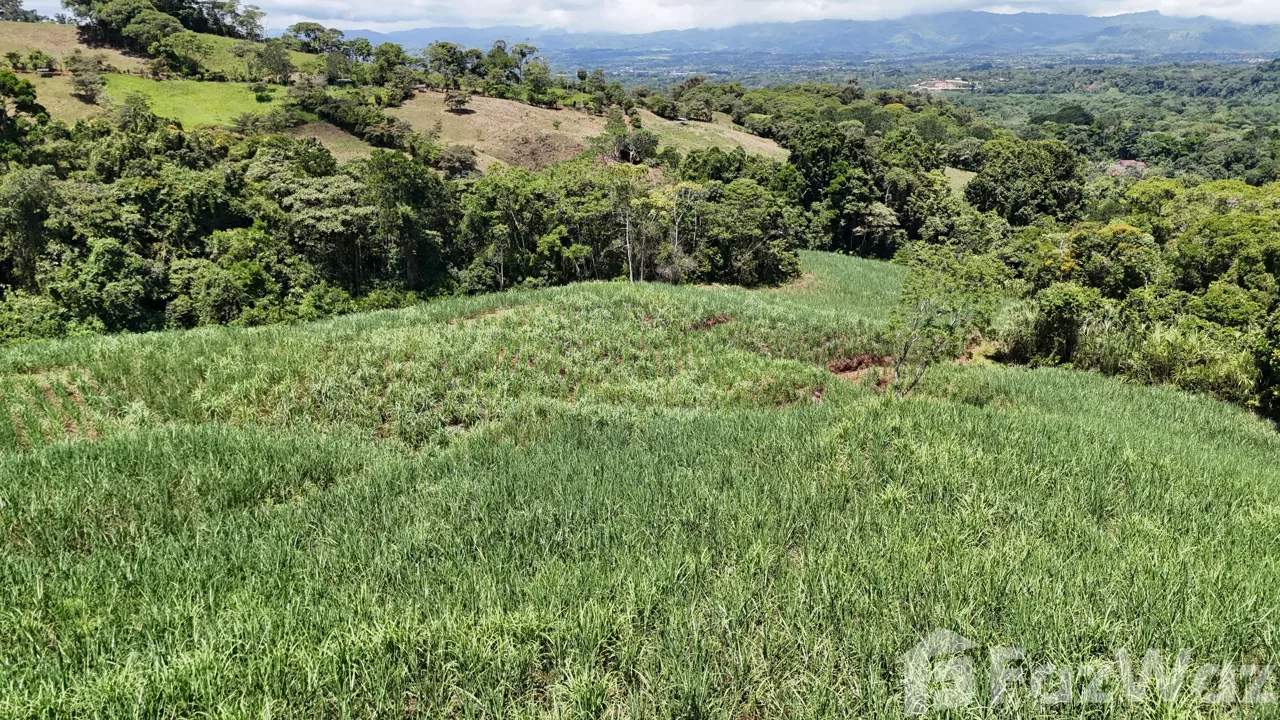 Land for Sale in Perez Zeledon, San Jose for $340,000, photo 12
