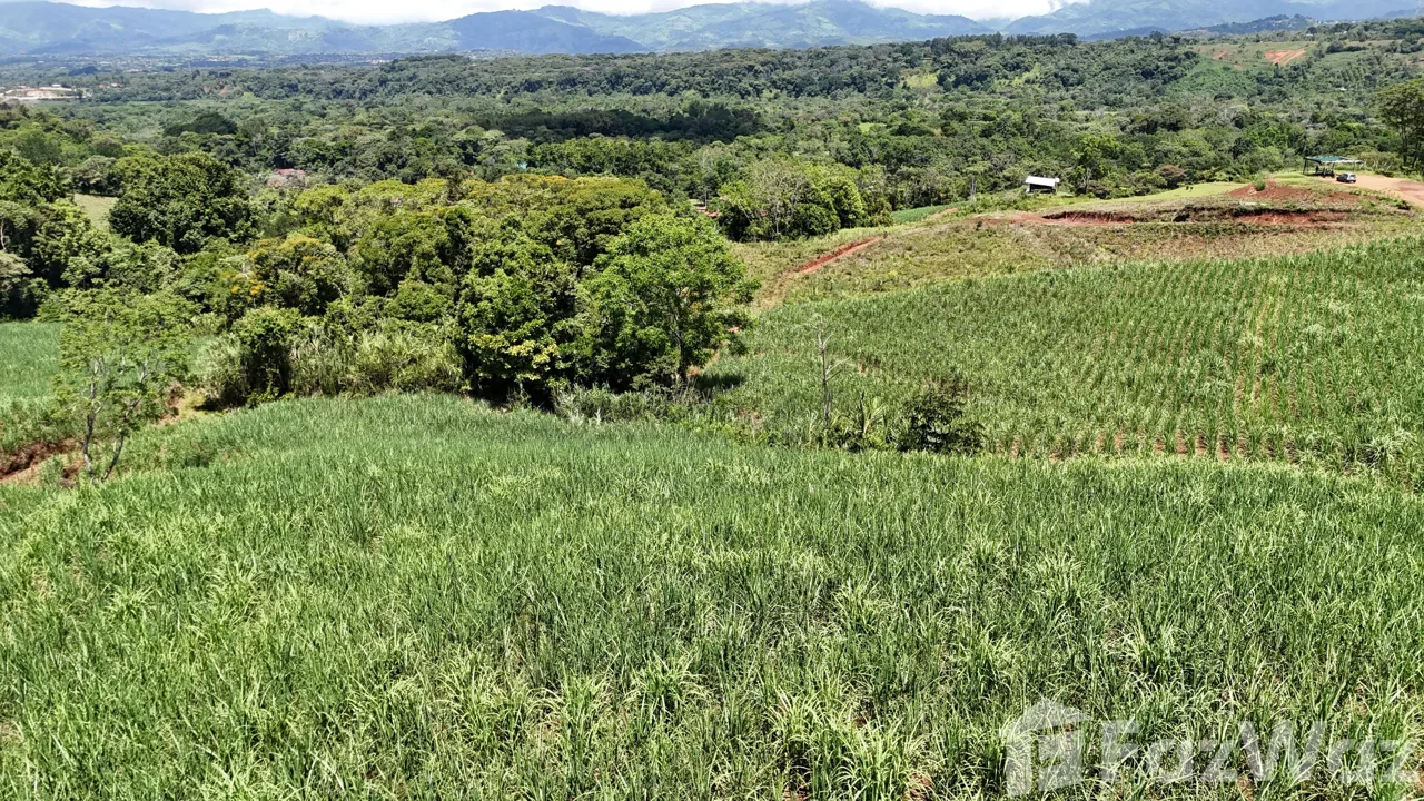 Land for Sale in Perez Zeledon, San Jose for $340,000, photo 13