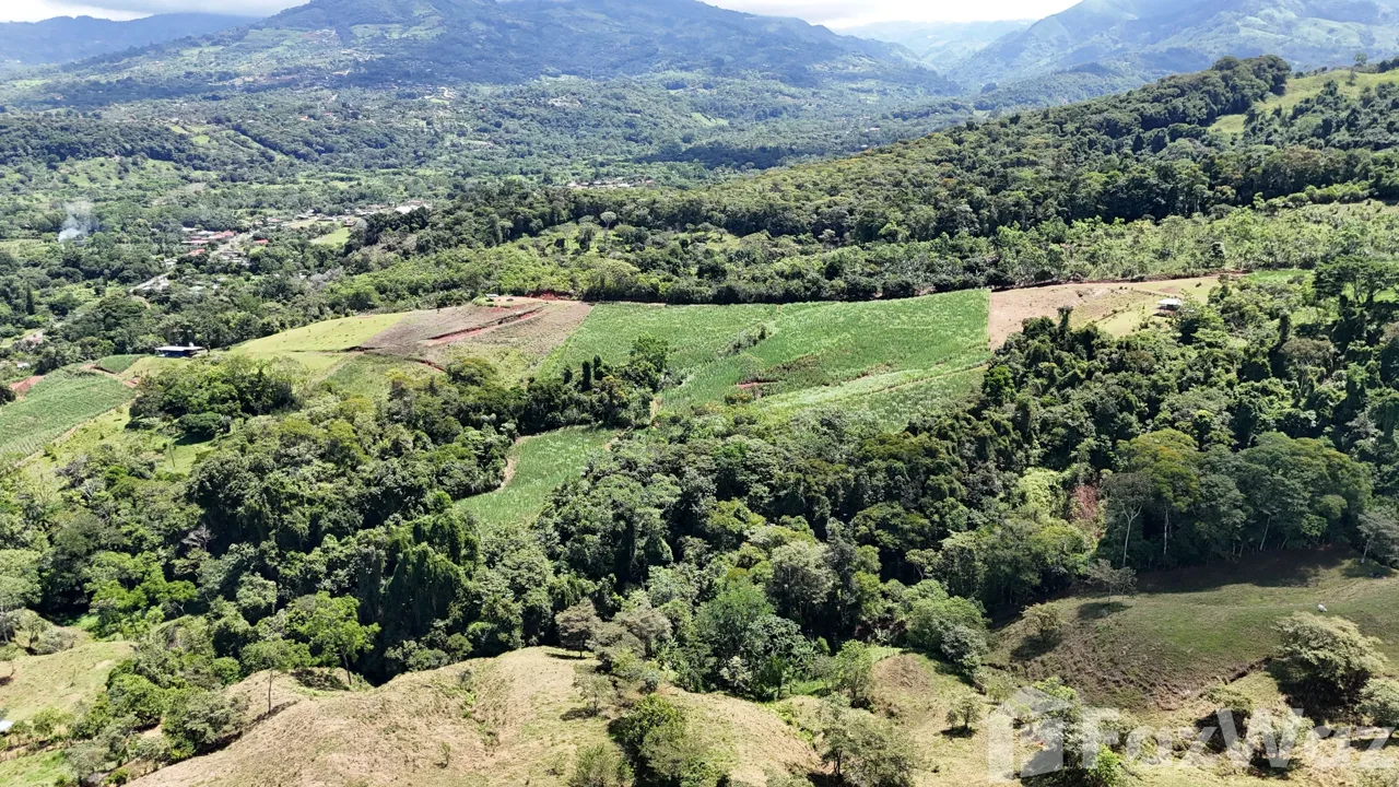 Land for Sale in Perez Zeledon, San Jose for $340,000, photo 14