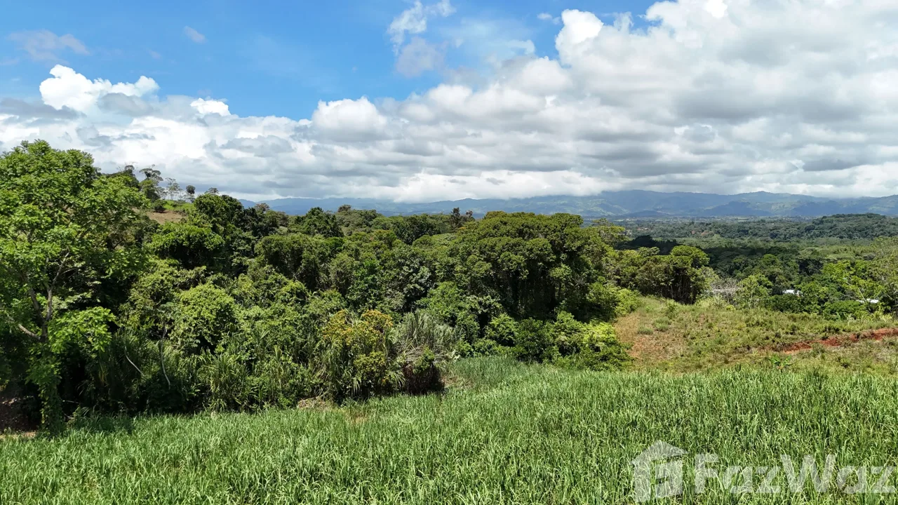 Land for Sale in Perez Zeledon, San Jose for $340,000, photo 3