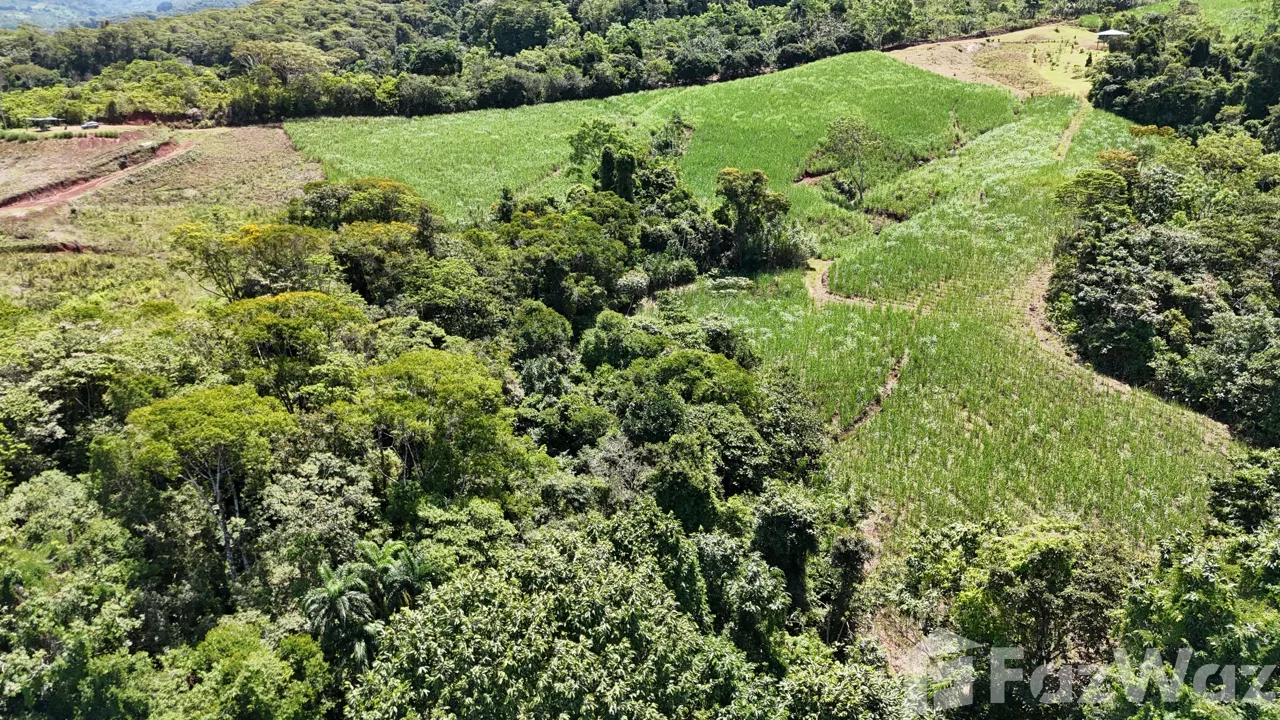Land for Sale in Perez Zeledon, San Jose for $340,000, photo 5
