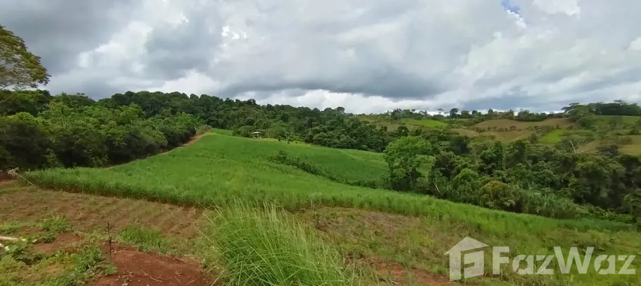 Land for Sale in Perez Zeledon, San Jose for $340,000, photo 6