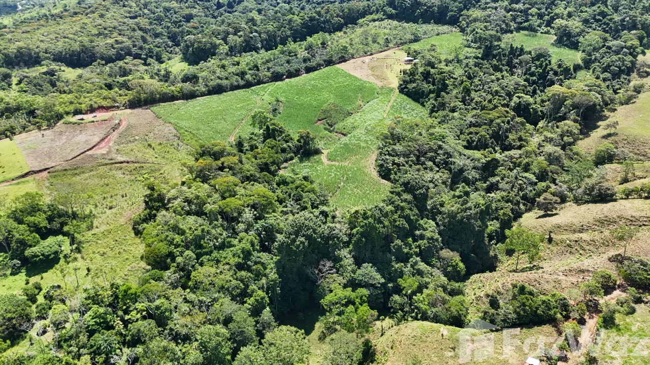 Land for Sale in Perez Zeledon, San Jose for $340,000, photo 9