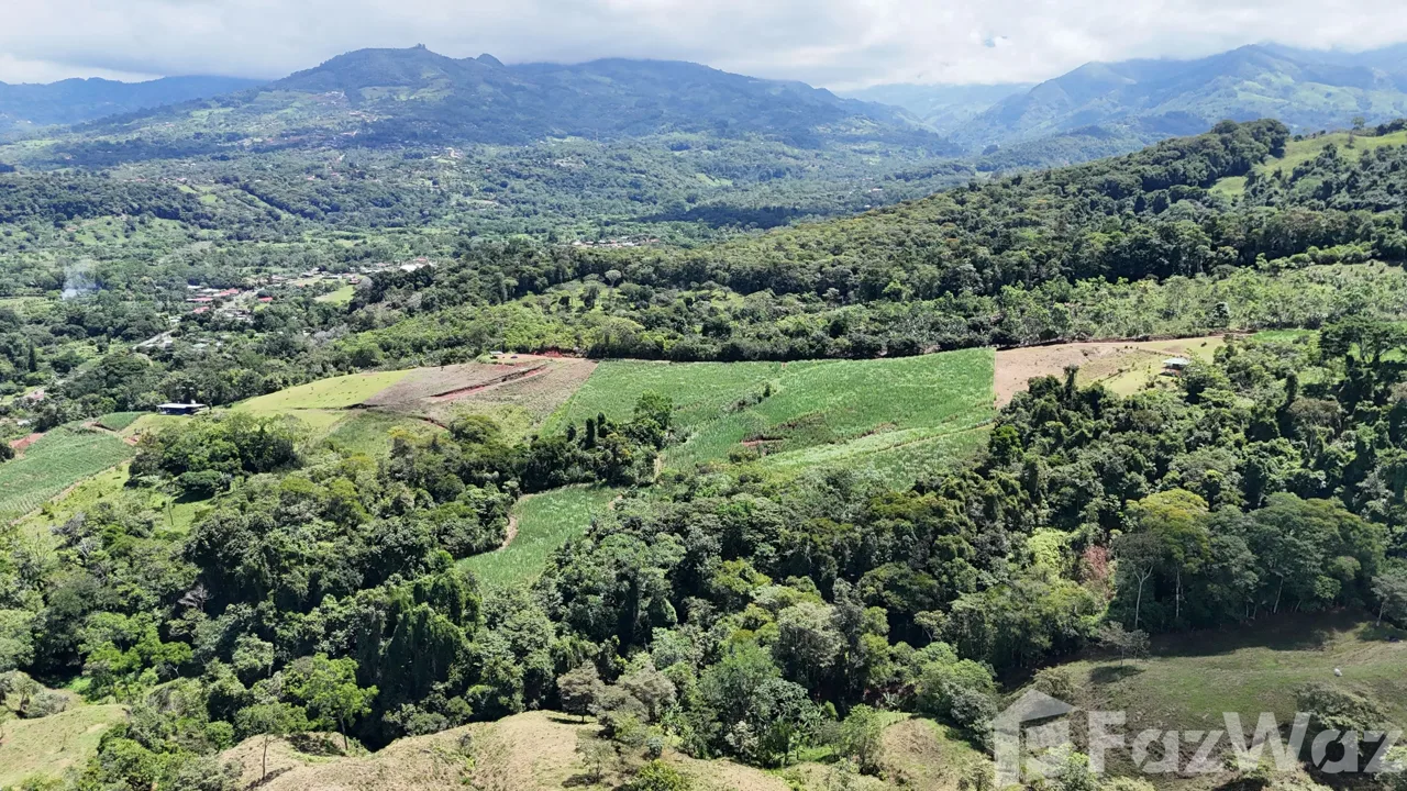 Land for Sale in Perez Zeledon, San Jose for $340,000, photo 10
