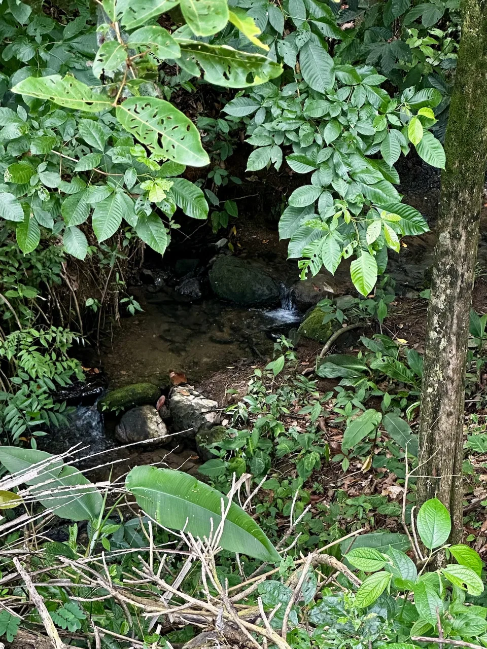 PROPERTY UNDER CONSTRUCTION WITH PROPERTY LAND VIEWS, IN PLAYA HERMOSA – 0.24 ACRES, photo 13